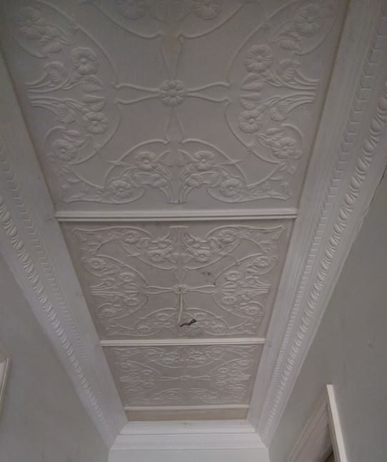 Ornate ceiling in Glebe restored to it's former glory
