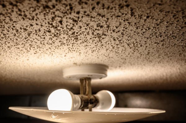 vermiculite ceilings can be covered with a suspended ceiling