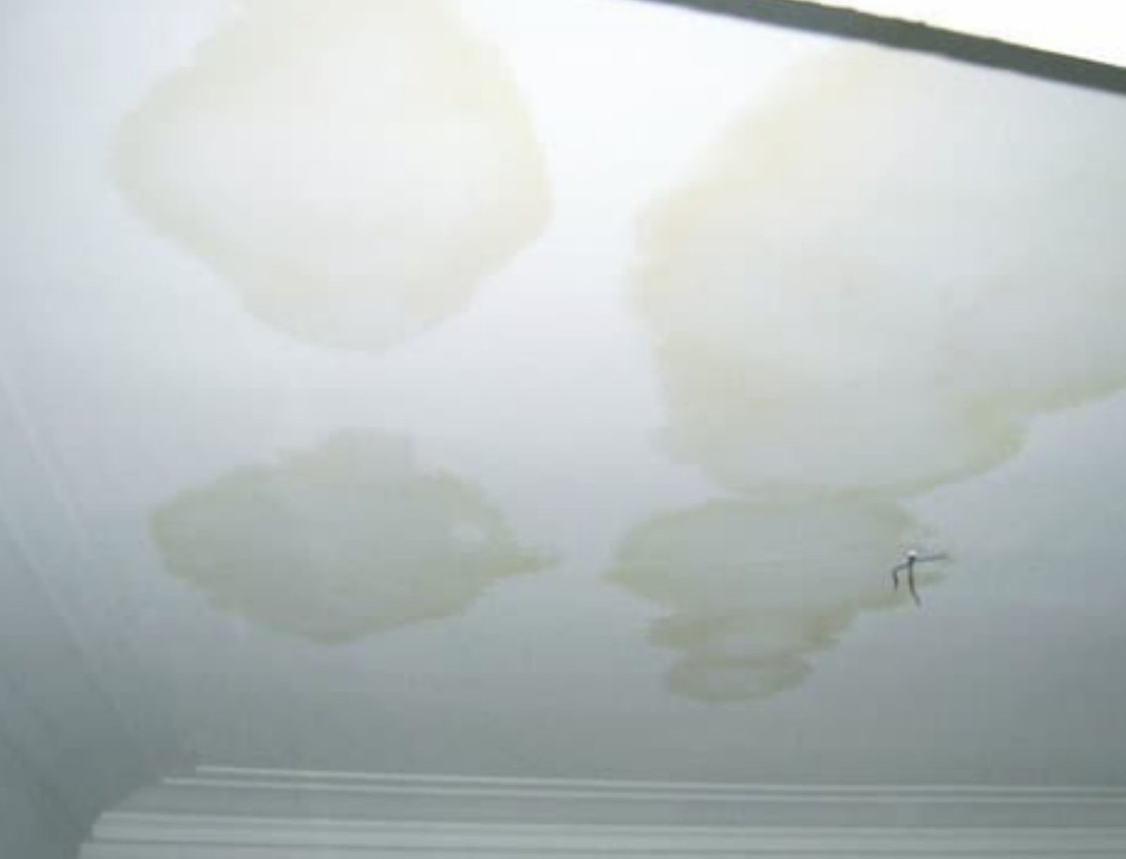 water damaged ceiling repair in Sydney