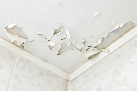 Why Is My Ceiling Cracking? - Paul's Plastering