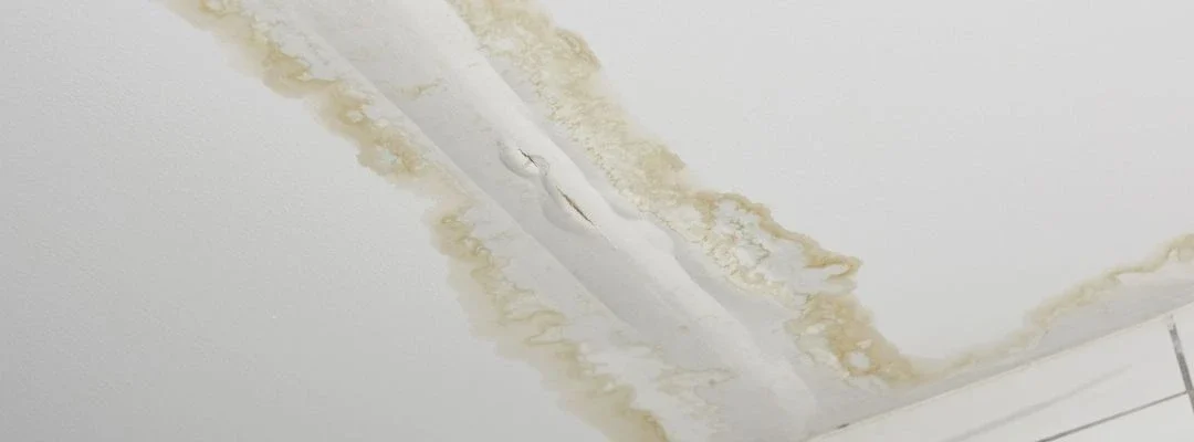 Ceiling Sag After Storms? When to Replace vs Re‑Screw Gyprock Sheets